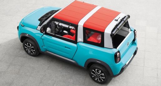 Citroen Mehari 7