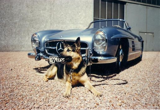 Mercedes Benz Hombre 100 3