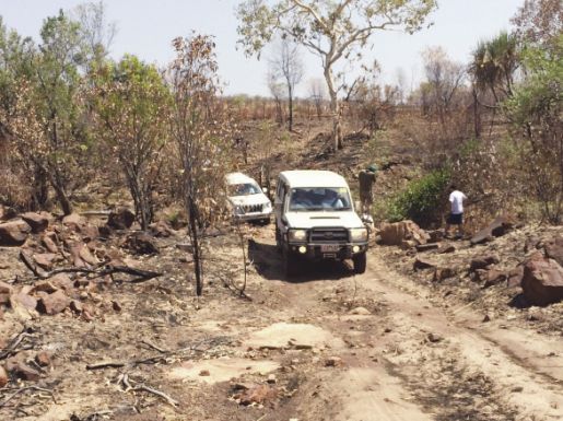 Toyota Latinoamerica 2