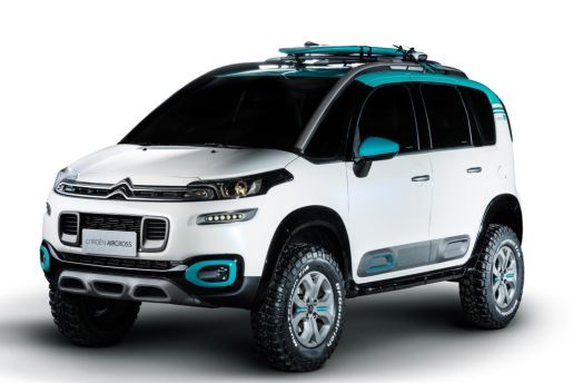 Maison Citroen Sao Paulo 3