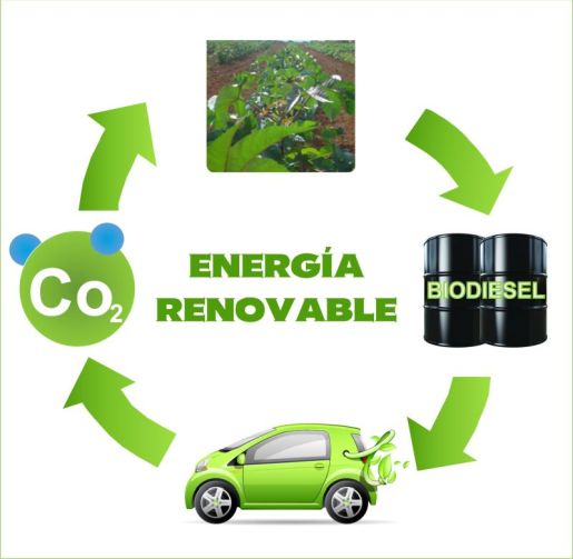 Combustible Alternativo Brasil 02