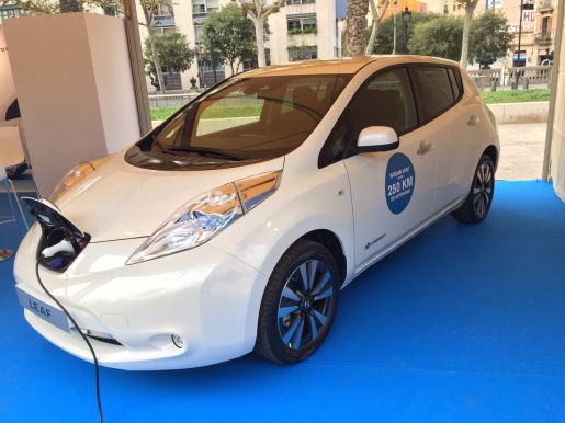 Leaf Movilidad 4