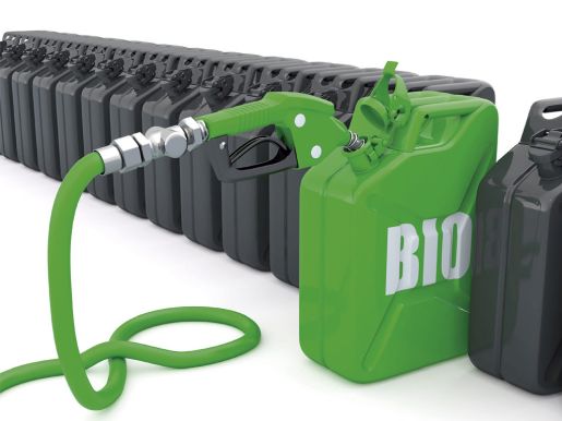 Biocombustible 3