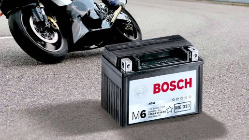bosch1