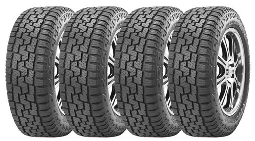 ford pirelli 2