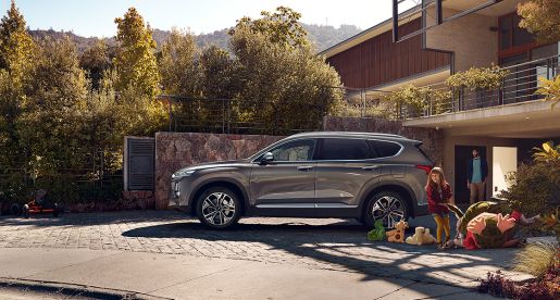 santafe8
