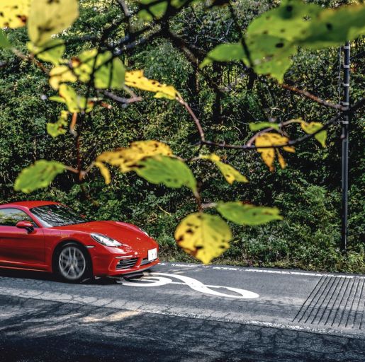 cayman2