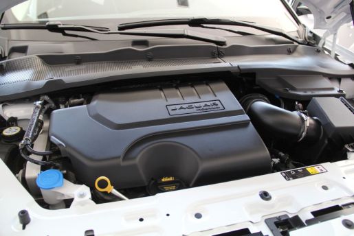 jaguar7