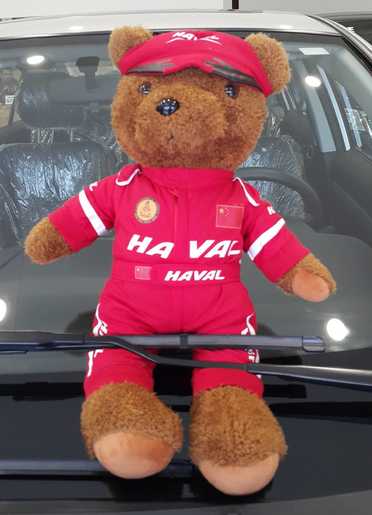 gwm haval record global 05