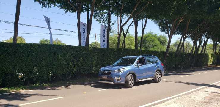 forester 23 03 03