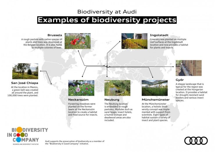 Audi habitat 4