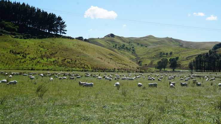 GS Trophy Qualifier Py 03