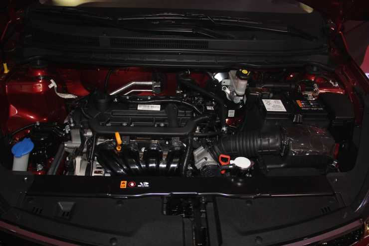 kia soluto garden 06