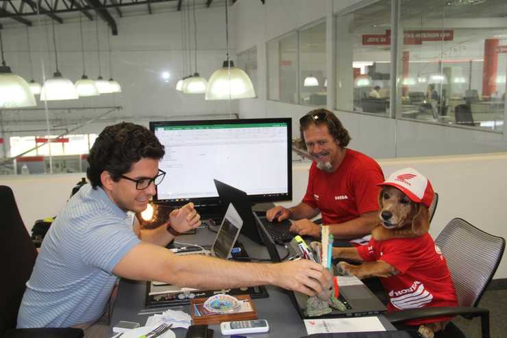 perro4