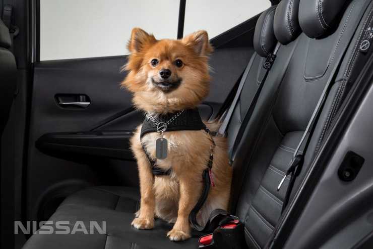 nissan x trail 2 dec 03